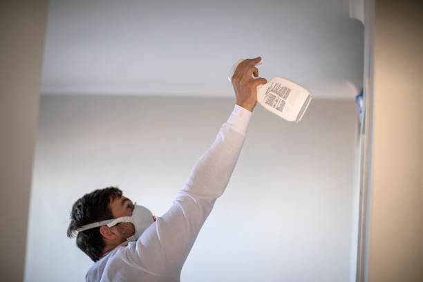 Best Fast Mold Removal  in Nashville, GA