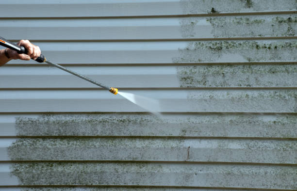 Best Local Mold Removal Service  in Nashville, GA