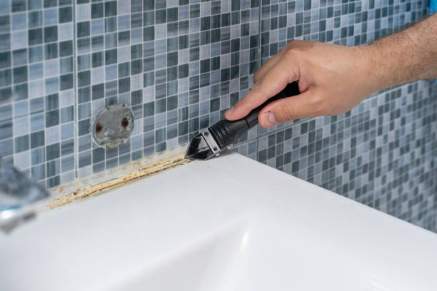 Best Professional Mold Removal  in Nashville, GA