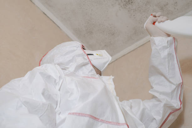 Mold Testing and Removal in Nashville, GA