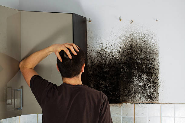 Best Mold Removal Near Me  in Nashville, GA